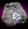 Molybdenite on Quartz from Moly Hill Mine, La Motte Township, Quebec, Canada