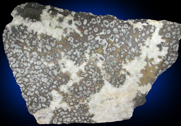 Algodonite, Domeykite, As-rich Copper var. Mohawkite from Mohawk Mine, Kearsarge Amygdaloid Lode, Keweenaw Peninsula Copper District, Michigan (Type Locality for Mohawkite)