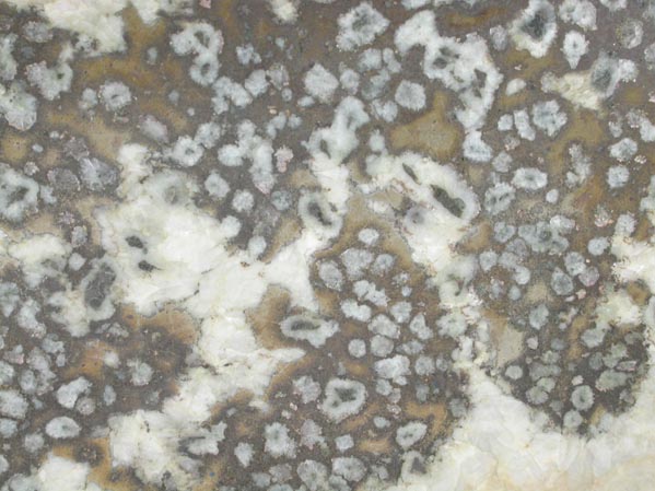 Algodonite, Domeykite, As-rich Copper var. Mohawkite from Mohawk Mine, Kearsarge Amygdaloid Lode, Keweenaw Peninsula Copper District, Michigan (Type Locality for Mohawkite)