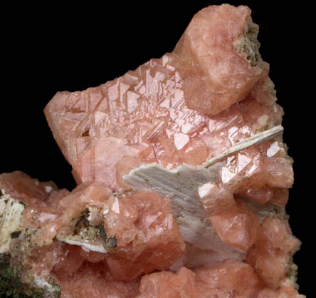 Gmelinite pseudomorphs after Chabazite from Pinnacle Point, Five Islands, Nova Scotia, Canada