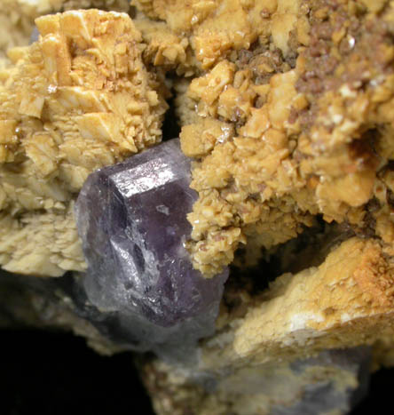 Fluorapatite on Albite from Pulsifer Quarry, Mount Apatite, Auburn, Androscoggin County, Maine