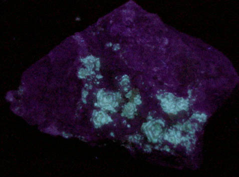 Cryolite with Weloganite from Francon Quarry, Montral, le de Montral, Qubec, Canada (Type Locality for Weloganite)