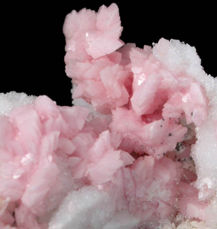 Rhodochrosite on Quartz from Sunnyside Mine, Eureka District, San Juan County, Colorado