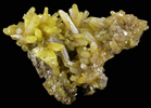 Pyromorphite from Bunker Hill Mine, Coeur d'Alene District, Shoshone County, Idaho