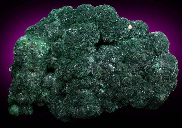 Atacamite from Cattlegrid Mine, Mount Gunson, South Australia, Australia