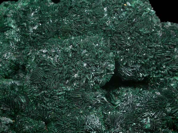 Atacamite from Cattlegrid Mine, Mount Gunson, South Australia, Australia