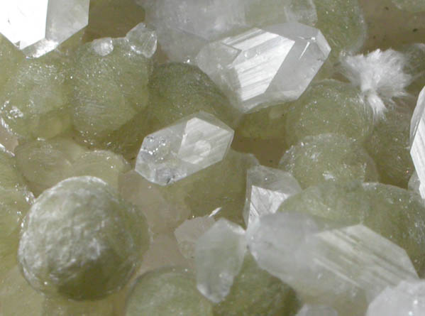 Gyrolite, Apophyllite, Stilbite-Ca, Quartz, Okenite from Pune District, Maharashtra, India