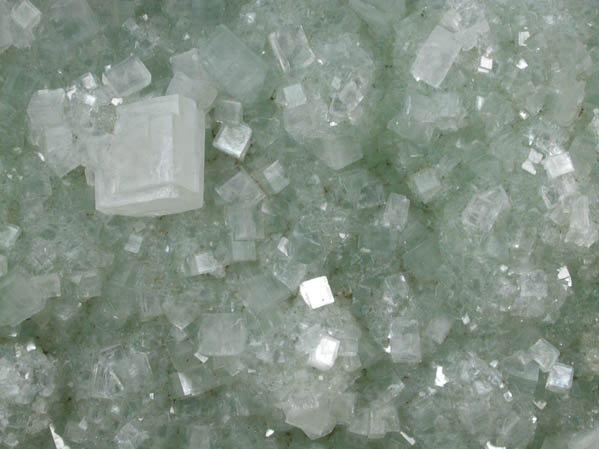 Hydroxyapophyllite-(K) (formerly apophyllite-(KOH)) on Prehnite from Fairfax Quarry, 6.4 km west of Centreville, Fairfax County, Virginia