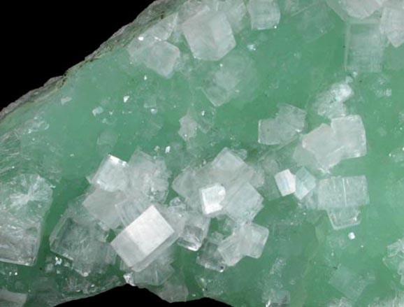 Hydroxyapophyllite-(K) (formerly apophyllite-(KOH)) on Prehnite from Fairfax Quarry, 6.4 km west of Centreville, Fairfax County, Virginia