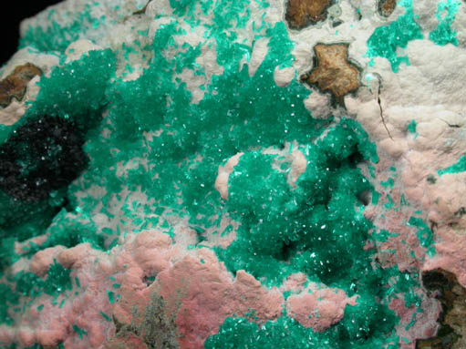 Dioptase from Kennecott Mine, Ray, Mineral Creek District, Pinal County, Arizona