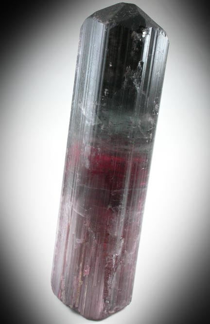 Elbaite Tourmaline from Coronel Murta, Minas Gerais, Brazil