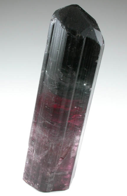 Elbaite Tourmaline from Coronel Murta, Minas Gerais, Brazil