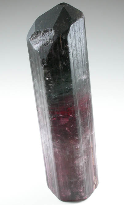 Elbaite Tourmaline from Coronel Murta, Minas Gerais, Brazil