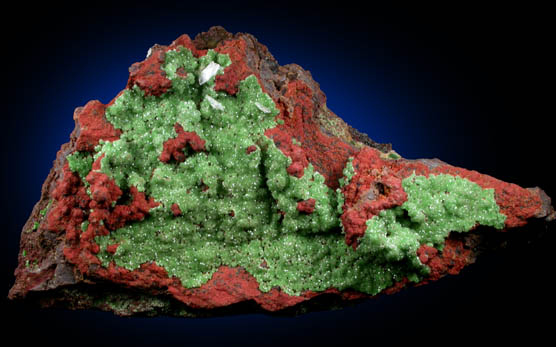 Conichalcite from Mina Ojuela, Mapimi, Durango, Mexico