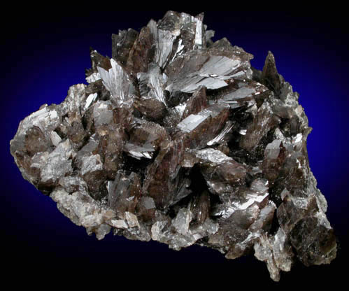 Axinite-(Fe) from Nikolaevskiy Mine, Dalnegorsk, Primorskiy Kray, Russia