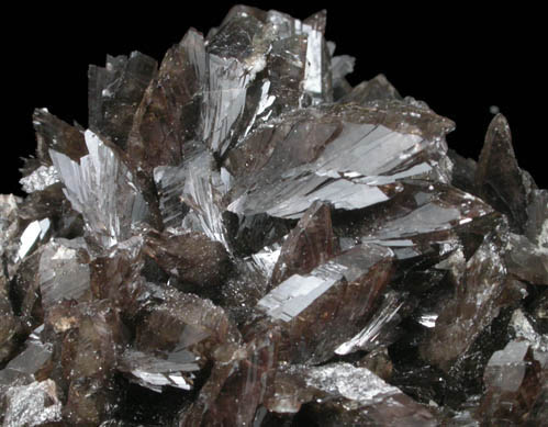 Axinite-(Fe) from Nikolaevskiy Mine, Dalnegorsk, Primorskiy Kray, Russia