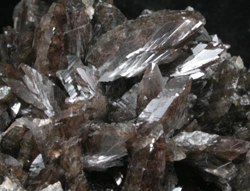 Axinite-(Fe) from Nikolaevskiy Mine, Dalnegorsk, Primorskiy Kray, Russia