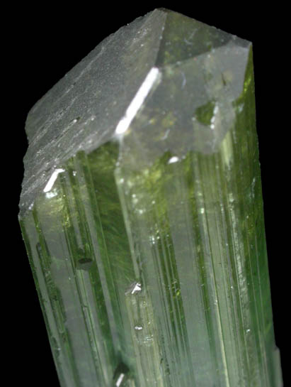 Elbaite Tourmaline from Lavra da Golconda, Near Governor Valadares, Minas Gerais, Brazil