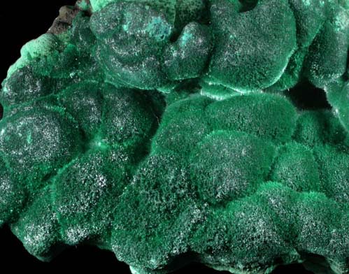 Malachite from Copper Queen Mine, Bisbee, Warren District, Cochise County, Arizona