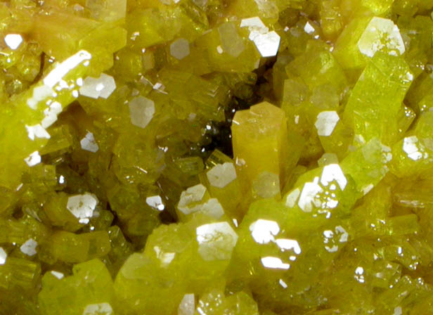 Pyromorphite from Bunker Hill Mine, Coeur d'Alene District, Shoshone County, Idaho