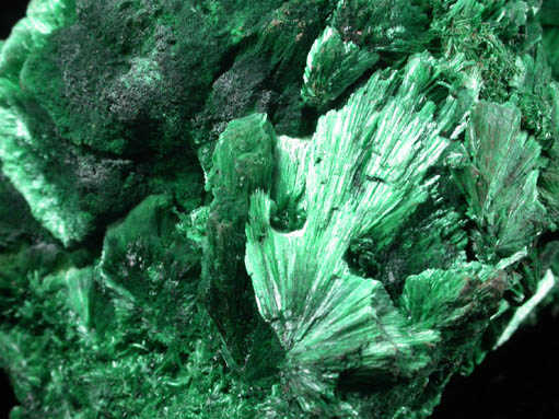 Malachite from Czar Shaft, Copper Queen Mine, Bisbee, Warren District, Cochise County, Arizona