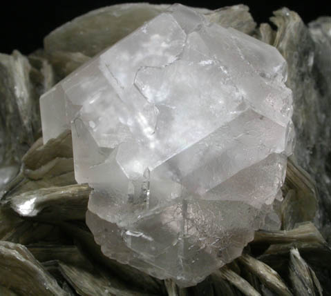 Fluorite on Muscovite from Chumar Bakhor, Nagar, Hunza Valley, Gilgit-Baltistan, Pakistan