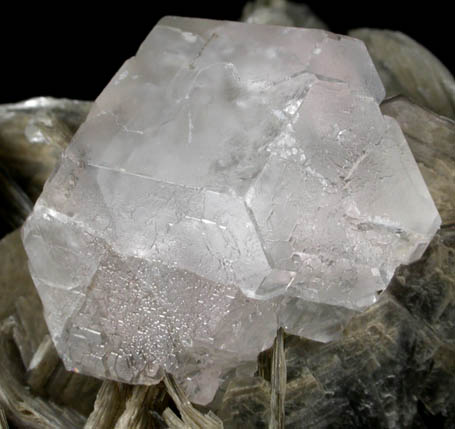 Fluorite on Muscovite from Chumar Bakhor, Nagar, Hunza Valley, Gilgit-Baltistan, Pakistan