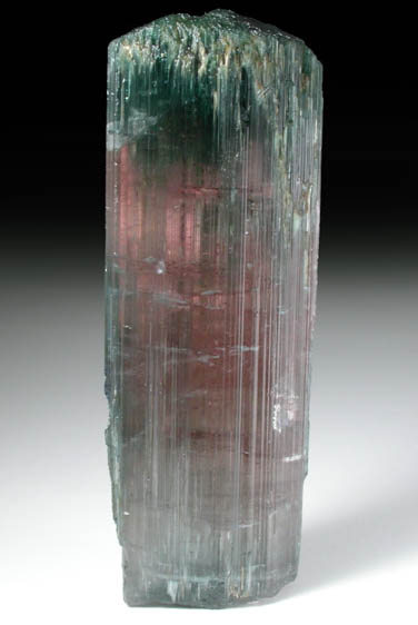 Elbaite Tourmaline from Aracuai, Minas Gerais, Brazil