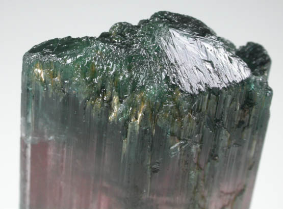 Elbaite Tourmaline from Aracuai, Minas Gerais, Brazil