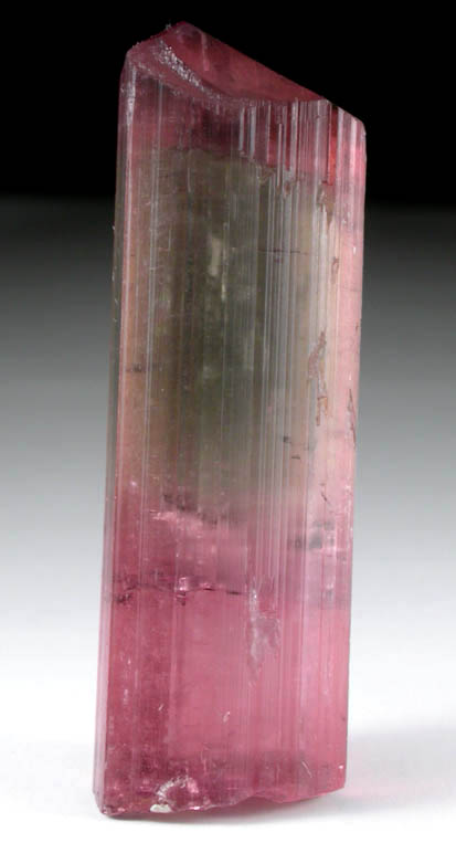 Elbaite Tourmaline from Himalaya Mine, Mesa Grande District, San Diego County, California