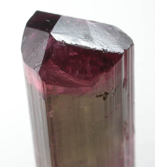 Elbaite Tourmaline from Himalaya Mine, Mesa Grande District, San Diego County, California