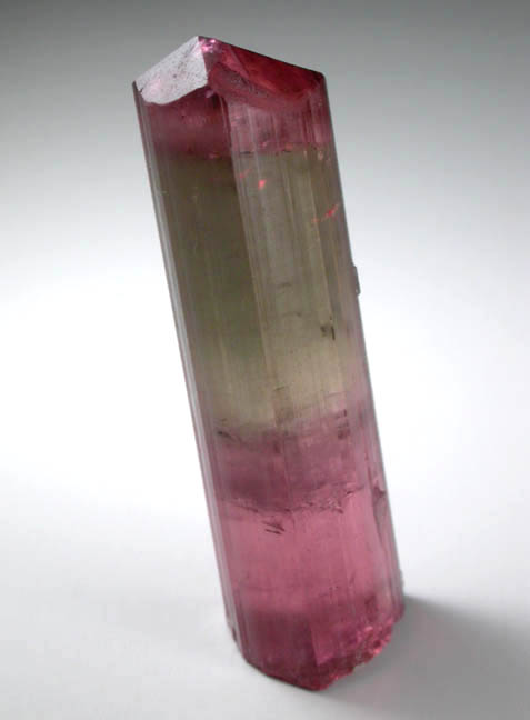 Elbaite Tourmaline from Himalaya Mine, Mesa Grande District, San Diego County, California