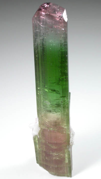 Elbaite Tourmaline from Paprok, Kamdesh District, Nuristan Province, Afghanistan