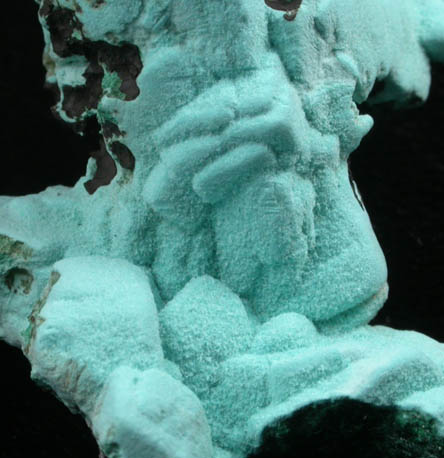 Aurichalcite on Malachite pseudomorphs after Azurite from Silver Bill Mine, Courtland-Gleeson District, Cochise County, Arizona