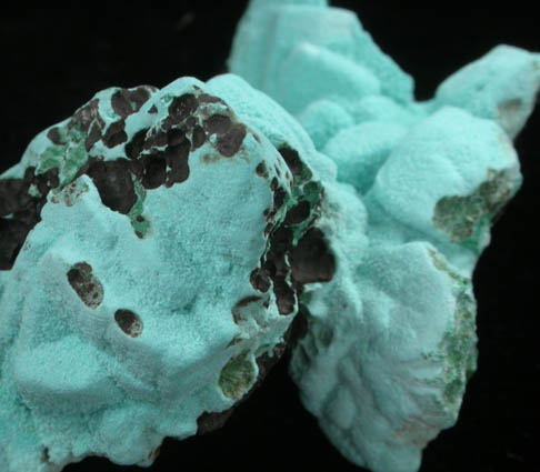 Aurichalcite on Malachite pseudomorphs after Azurite from Silver Bill Mine, Courtland-Gleeson District, Cochise County, Arizona