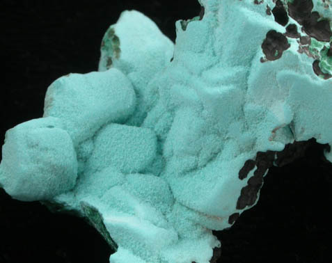Aurichalcite on Malachite pseudomorphs after Azurite from Silver Bill Mine, Courtland-Gleeson District, Cochise County, Arizona