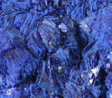 Azurite from Los Olivos Mine, Chihuahua, Mexico