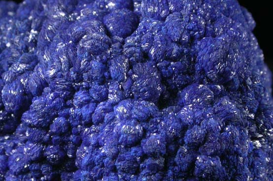 Azurite from Los Olivos Mine, Chihuahua, Mexico