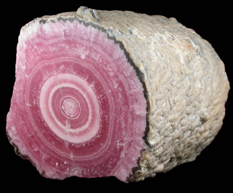 Rhodochrosite stalactite from Capillitas Mine, Catamarca, Argentina