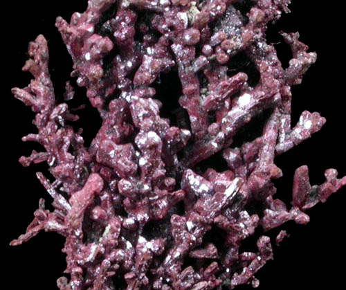 Copper (crystallized) with Cuprite from Mountain City Mine, Elko County, Nevada
