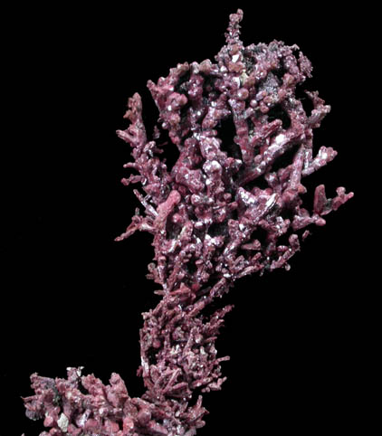 Copper (crystallized) with Cuprite from Mountain City Mine, Elko County, Nevada