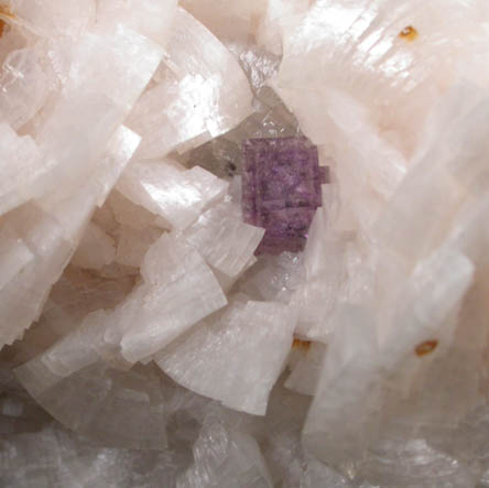 Dolomite with Fluorite from Corydon Crushed Stone Quarry, Harrison County, Indiana