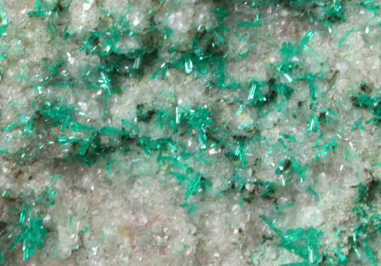 Dioptase from Christmas Mine, Banner District, Gila County, Arizona