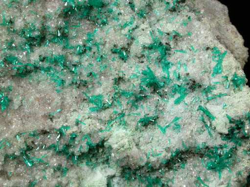 Dioptase from Christmas Mine, Banner District, Gila County, Arizona