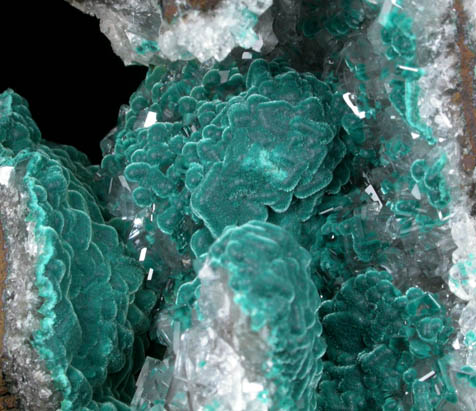 Rosasite on Calcite from Mina Ojuela, Mapimi, Durango, Mexico