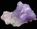Fluorapatite (purple) on Albite from Sorre, Dharipeche, Kunar Province, Afghanistan