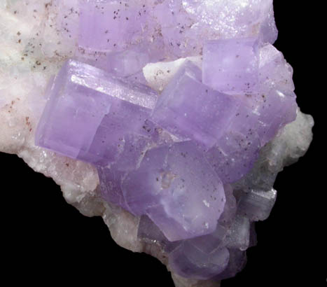 Fluorapatite (purple) on Albite from Sorre, Dharipeche, Kunar Province, Afghanistan