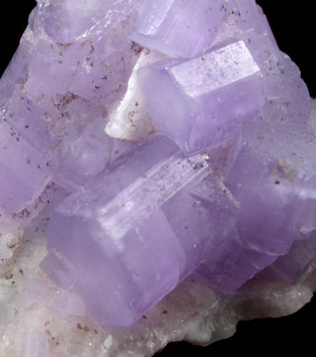 Fluorapatite (purple) on Albite from Sorre, Dharipeche, Kunar Province, Afghanistan