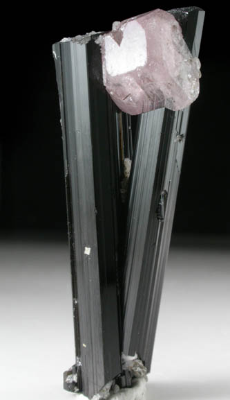 Fluorapatite on Schorl Tourmaline from Dapos, Nyet Bruk, Braldu Valley, Baltistan, Gilgit-Baltistan, Pakistan