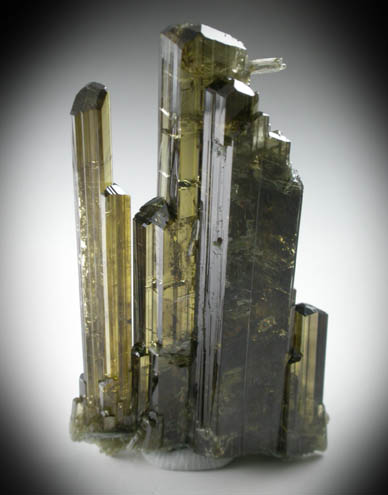 Epidote-Clinozoisite from Hashupi, Shigar Valley, Skardu District, Gilgit-Baltistan, Pakistan